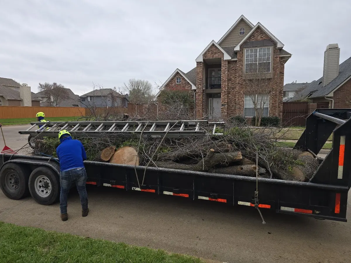 Expert Lot Clearing with proper safety equipment in Deforest